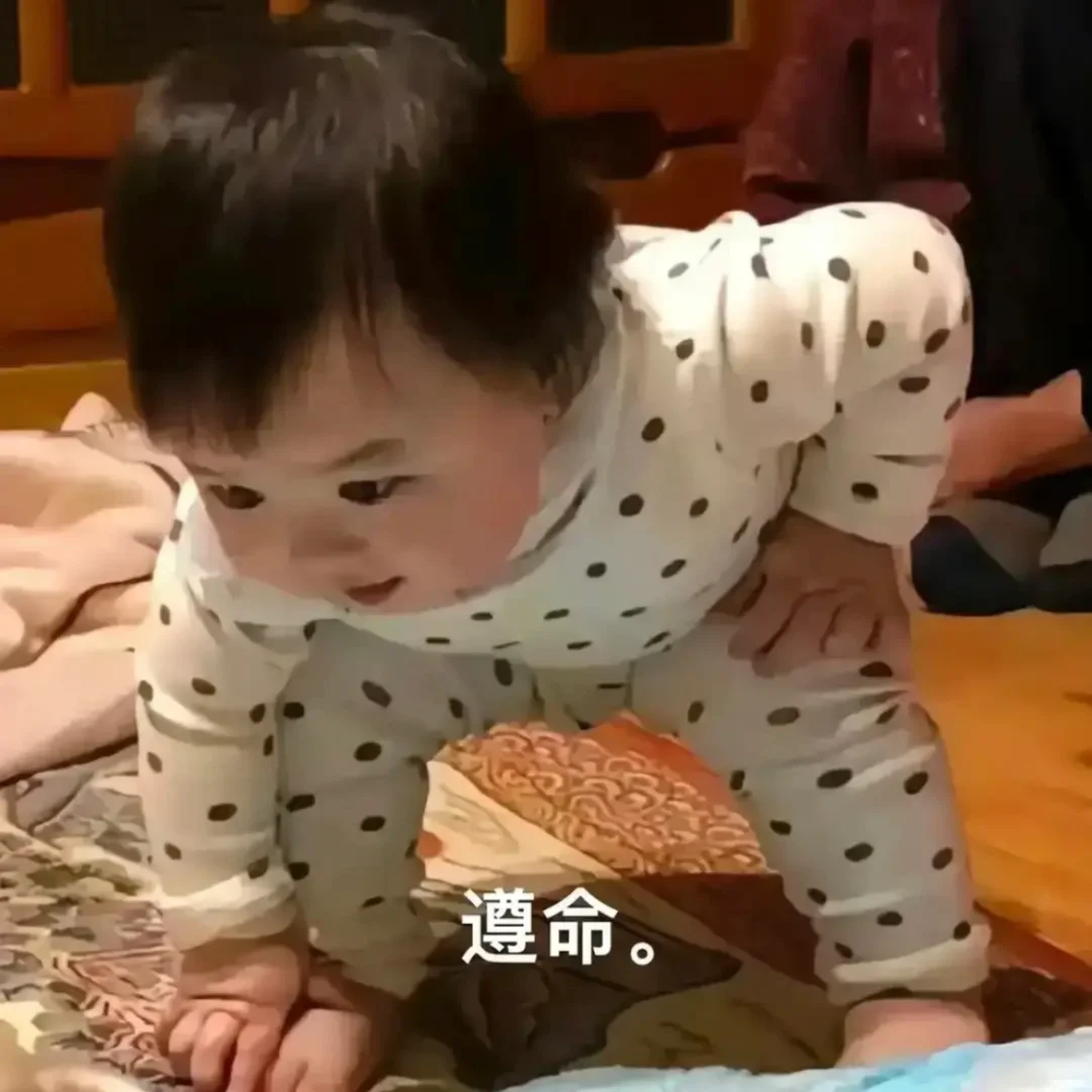 逗老婆、女朋友、暧昧对象表情包