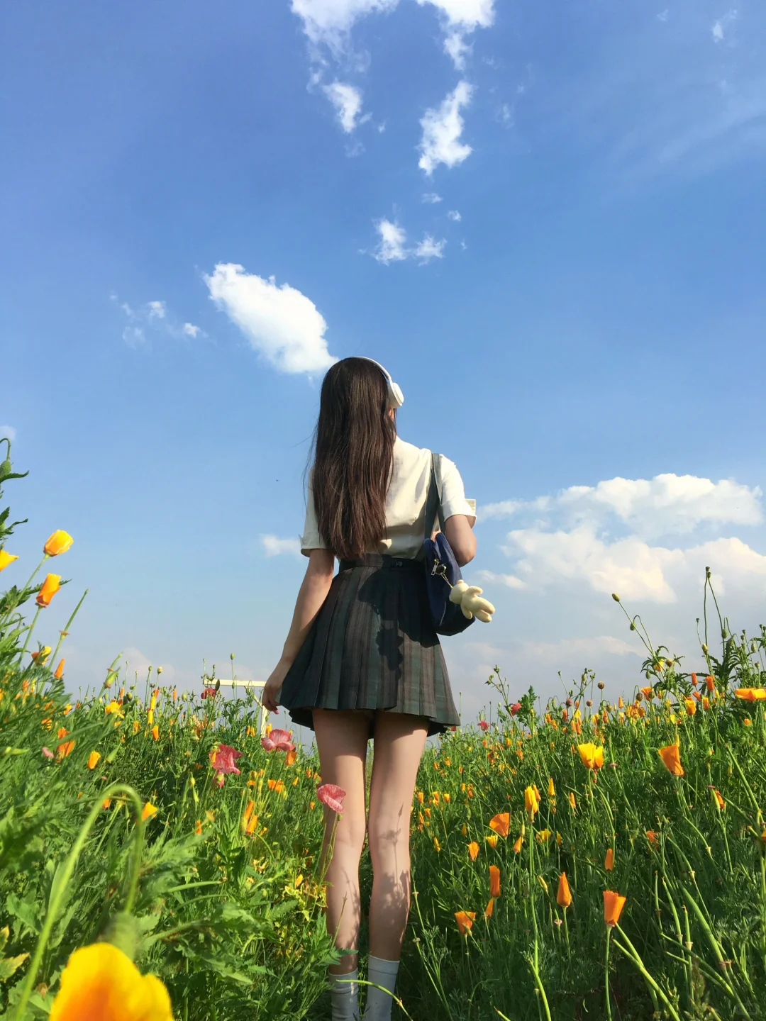 实况/花海总是自带氛围感