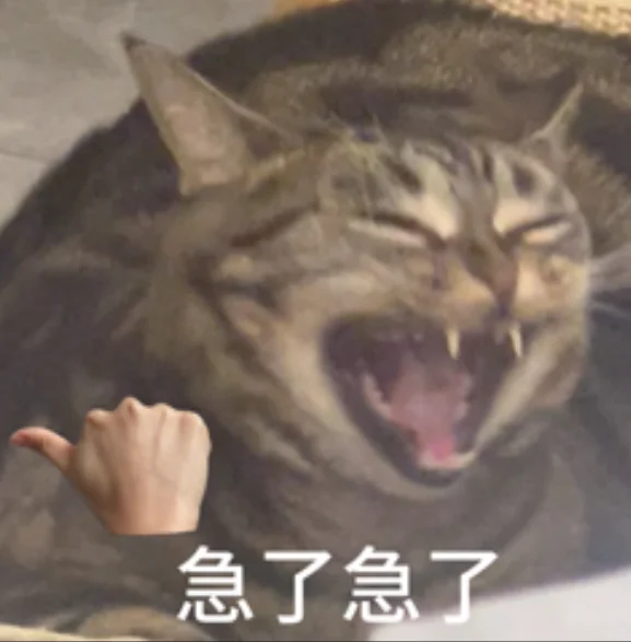 疯癫小猫表情包