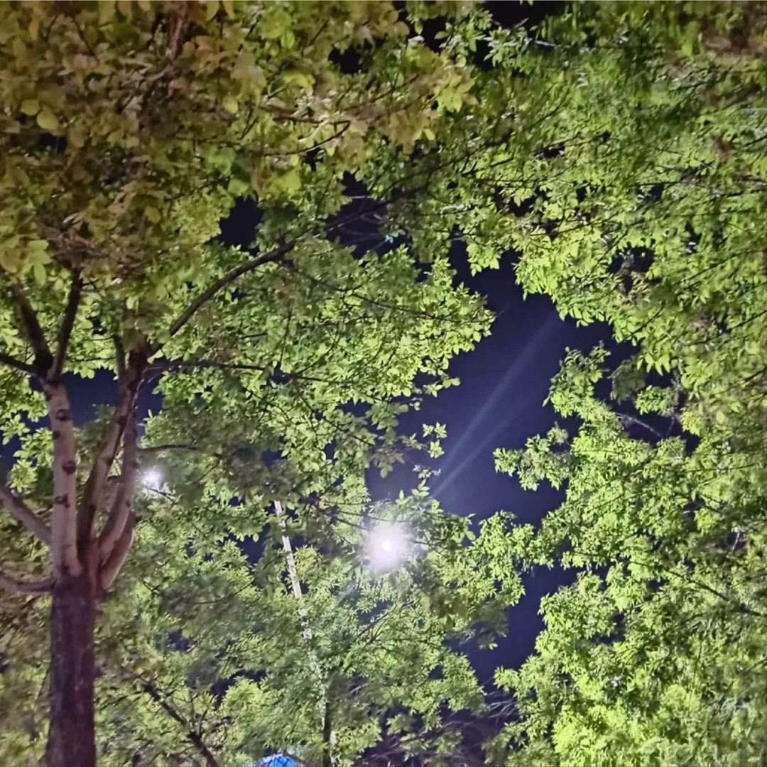 一个女孩子最吸引人的是昂扬向上的生命力