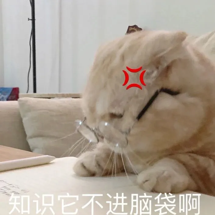 可爱表情包猫猫表情包工作学习版这就是我嘛