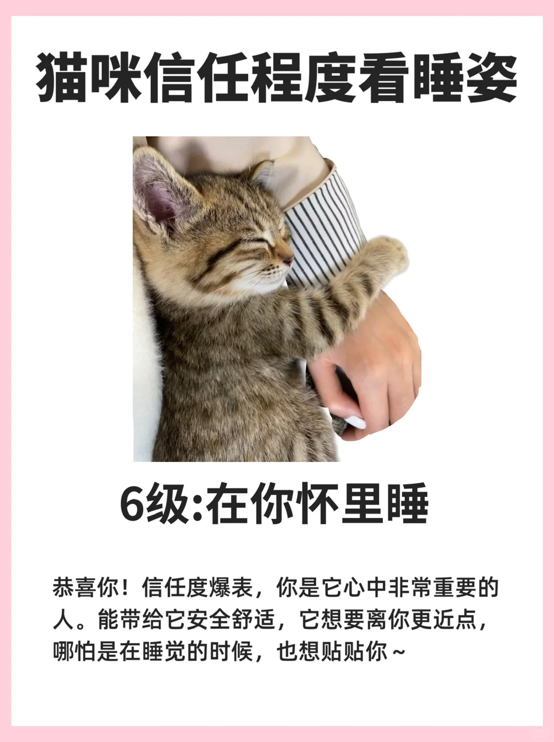 6种睡姿，看猫咪对你的信任程度有多少