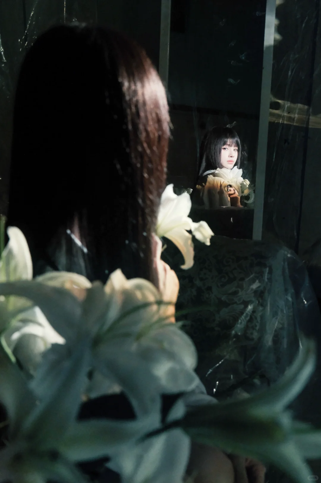 我镜头下的鞠婧祎图文版