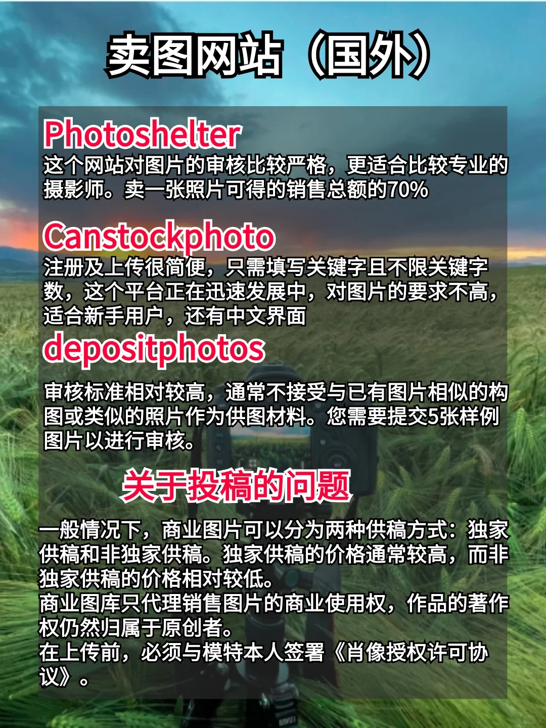 照片不要乱删！给大家整理了十八个赚💰平