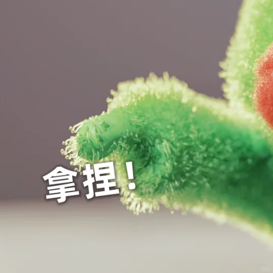 苦瓜女士表情包｜就你！不要给我哇哇乱叫！