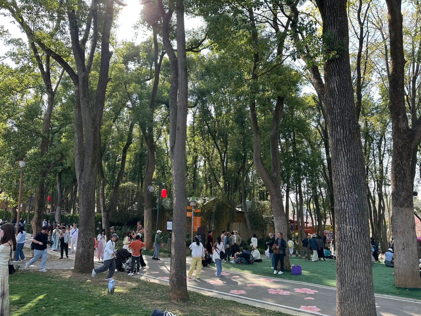 多接触自然
