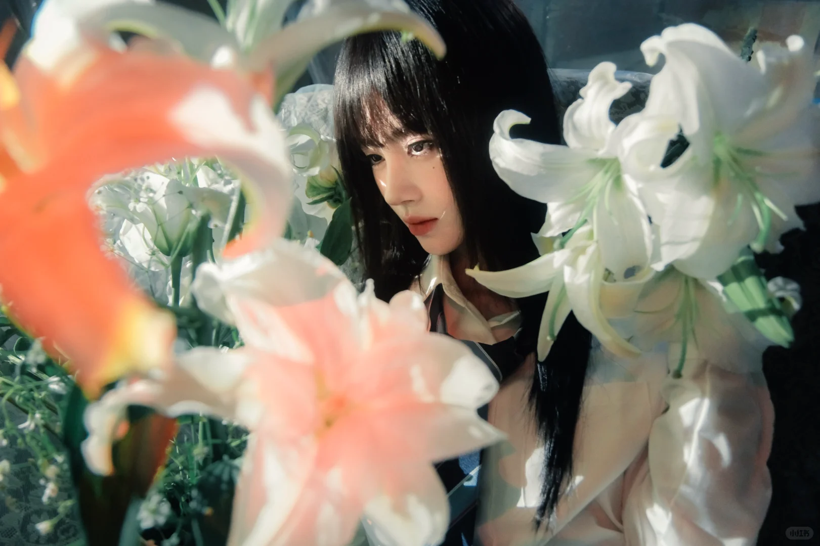 我镜头下的鞠婧祎图文版