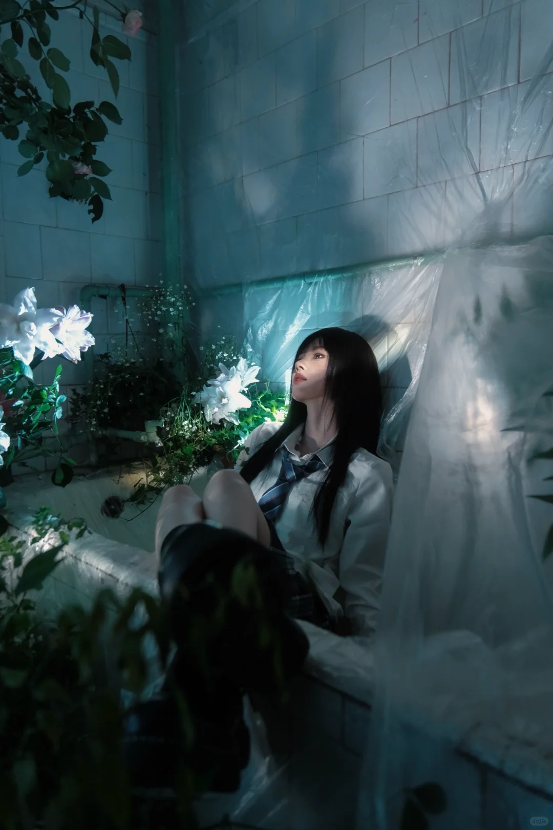 我镜头下的鞠婧祎图文版