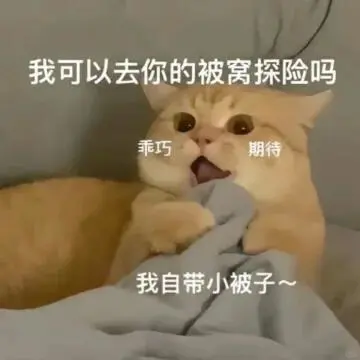 超可爱的猫猫表情包又来啦～