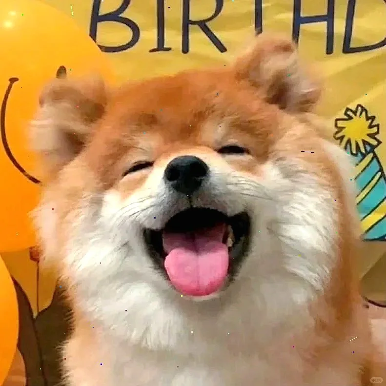 超萌狗狗拯救世界