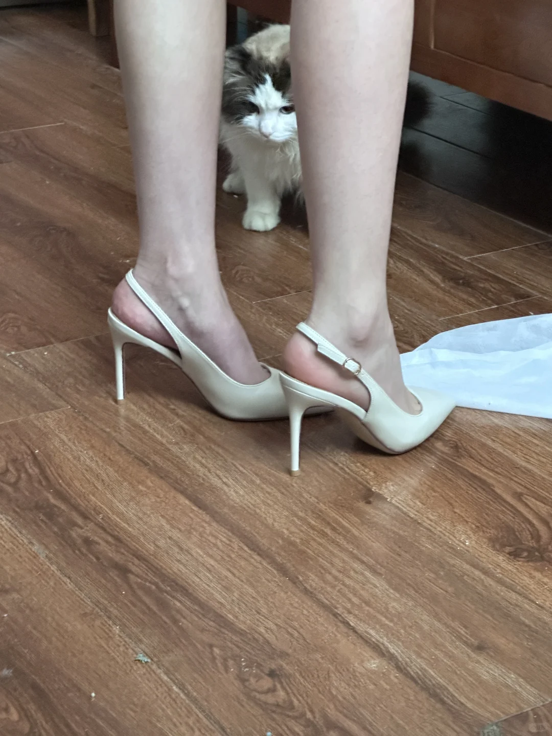 看似平平无奇上脚绝了 高干女主即视感～