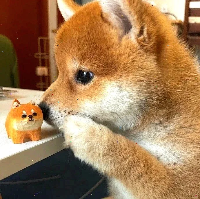 超萌狗狗拯救世界