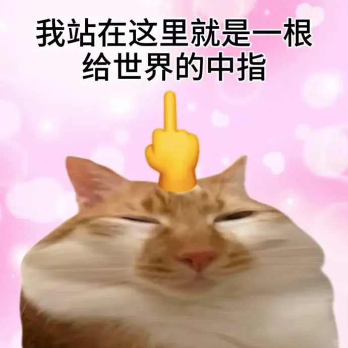抽象猫猫表情包合集 2