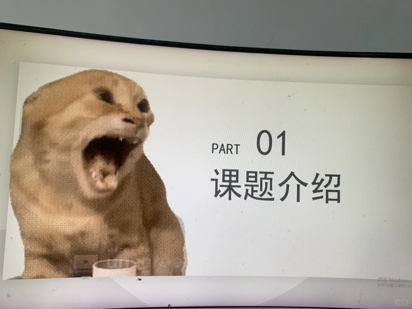 动态表情包耄耋猫通用ppt模板