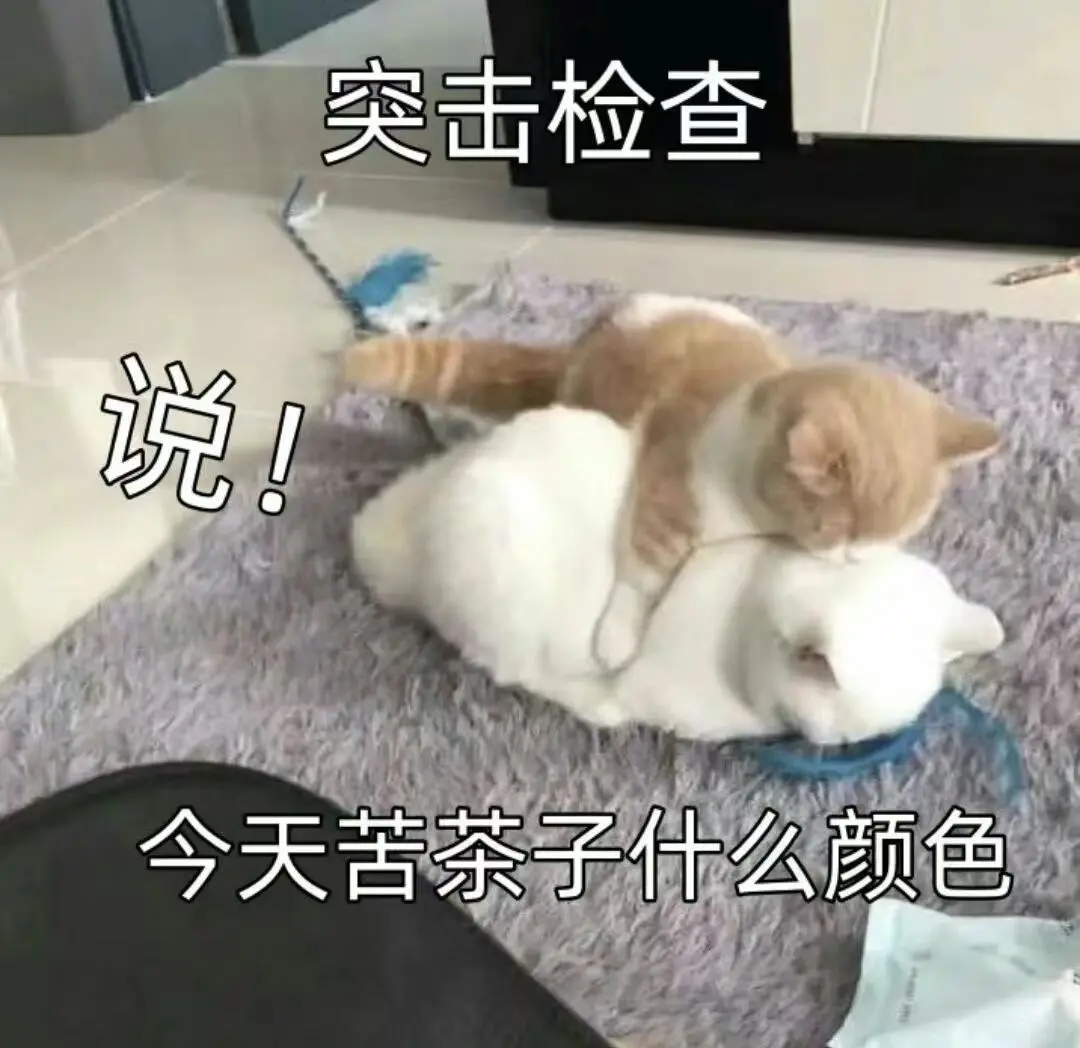 超可爱的猫猫表情包又来啦～