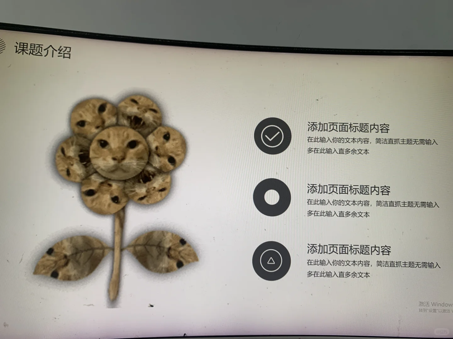 动态表情包耄耋猫通用ppt模板
