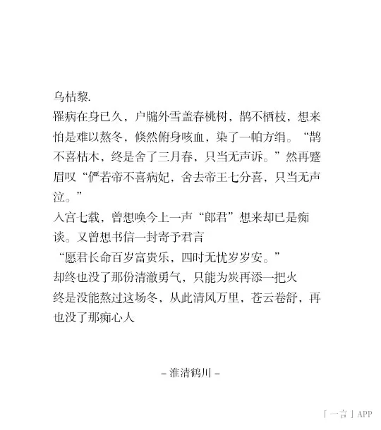 宫圈新人