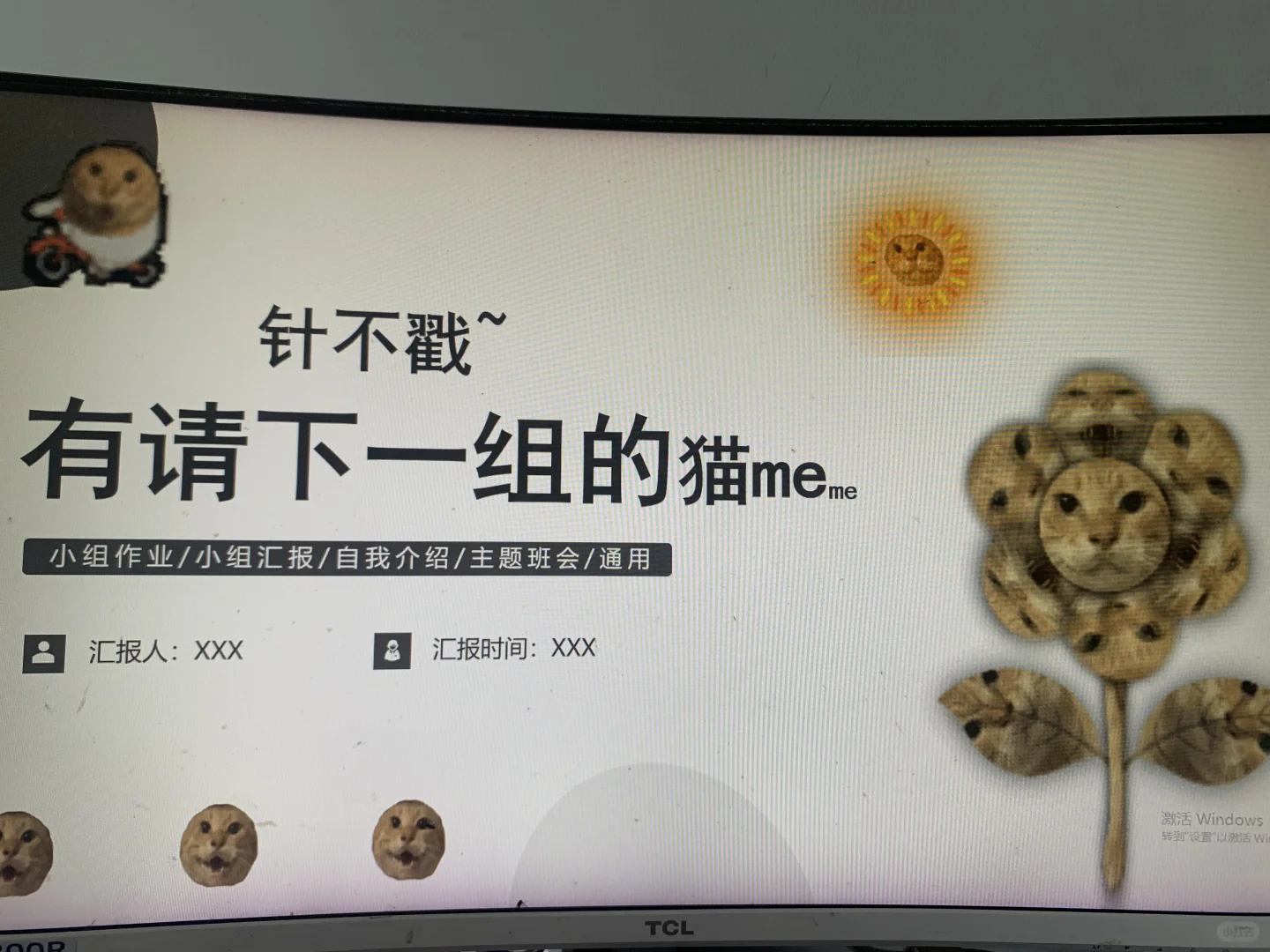 动态表情包耄耋猫通用ppt模板