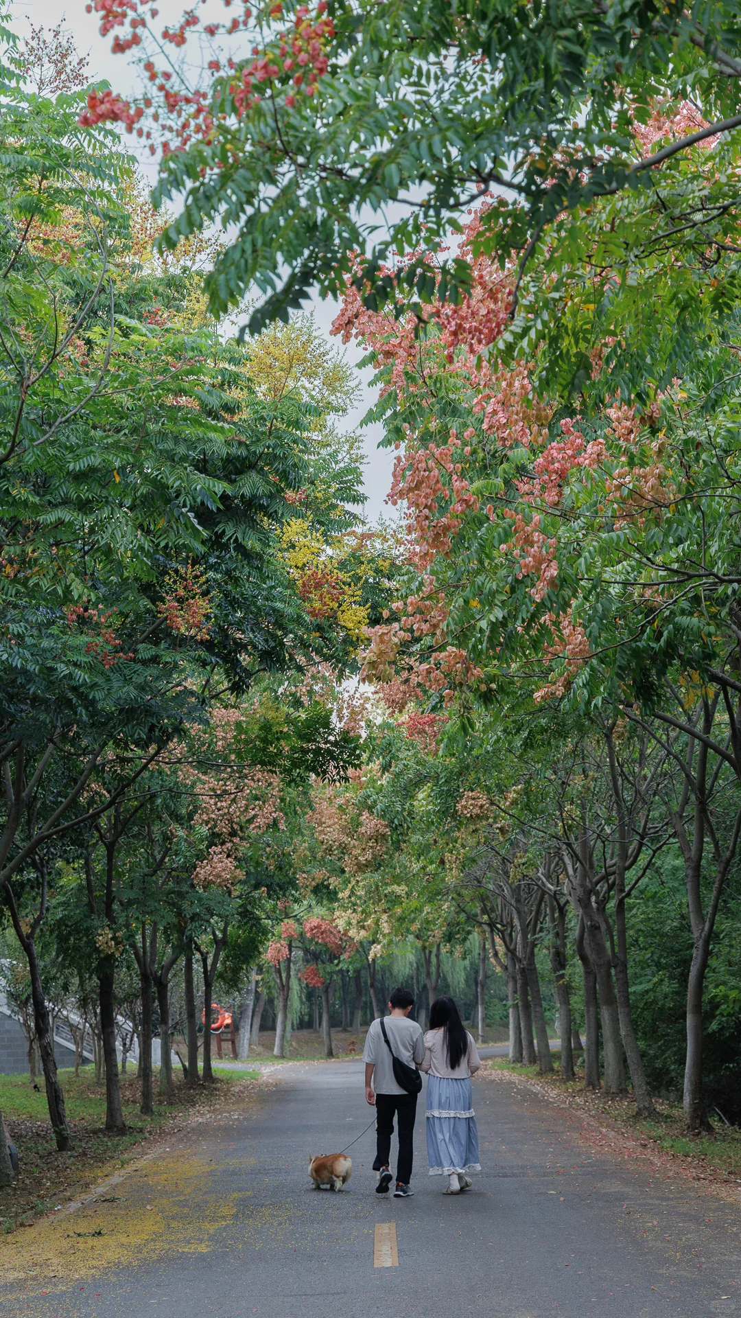 回归自然，从观察开始
