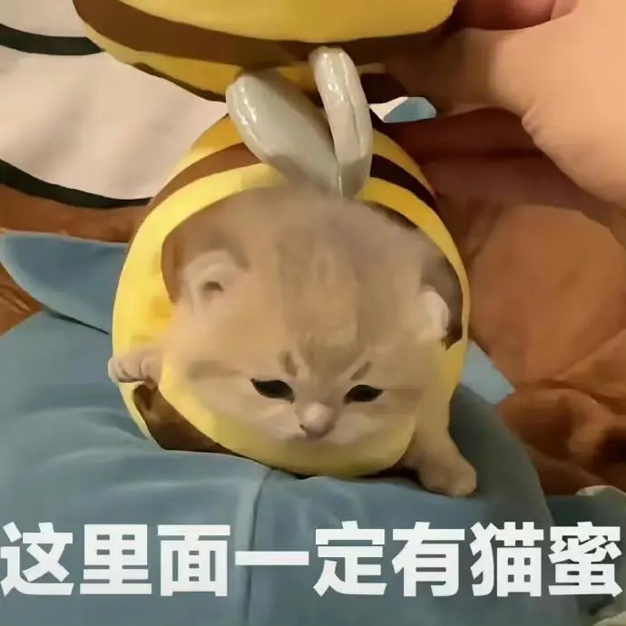 超可爱的猫猫表情包又来啦～