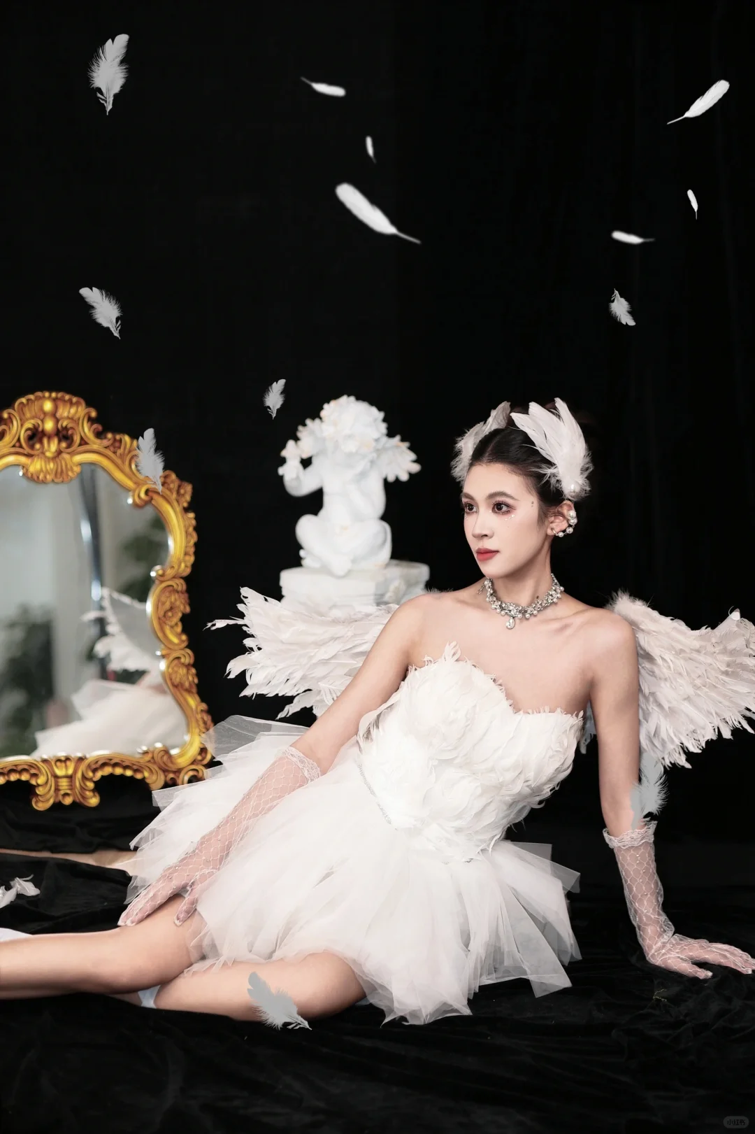 白天鹅🦢写真