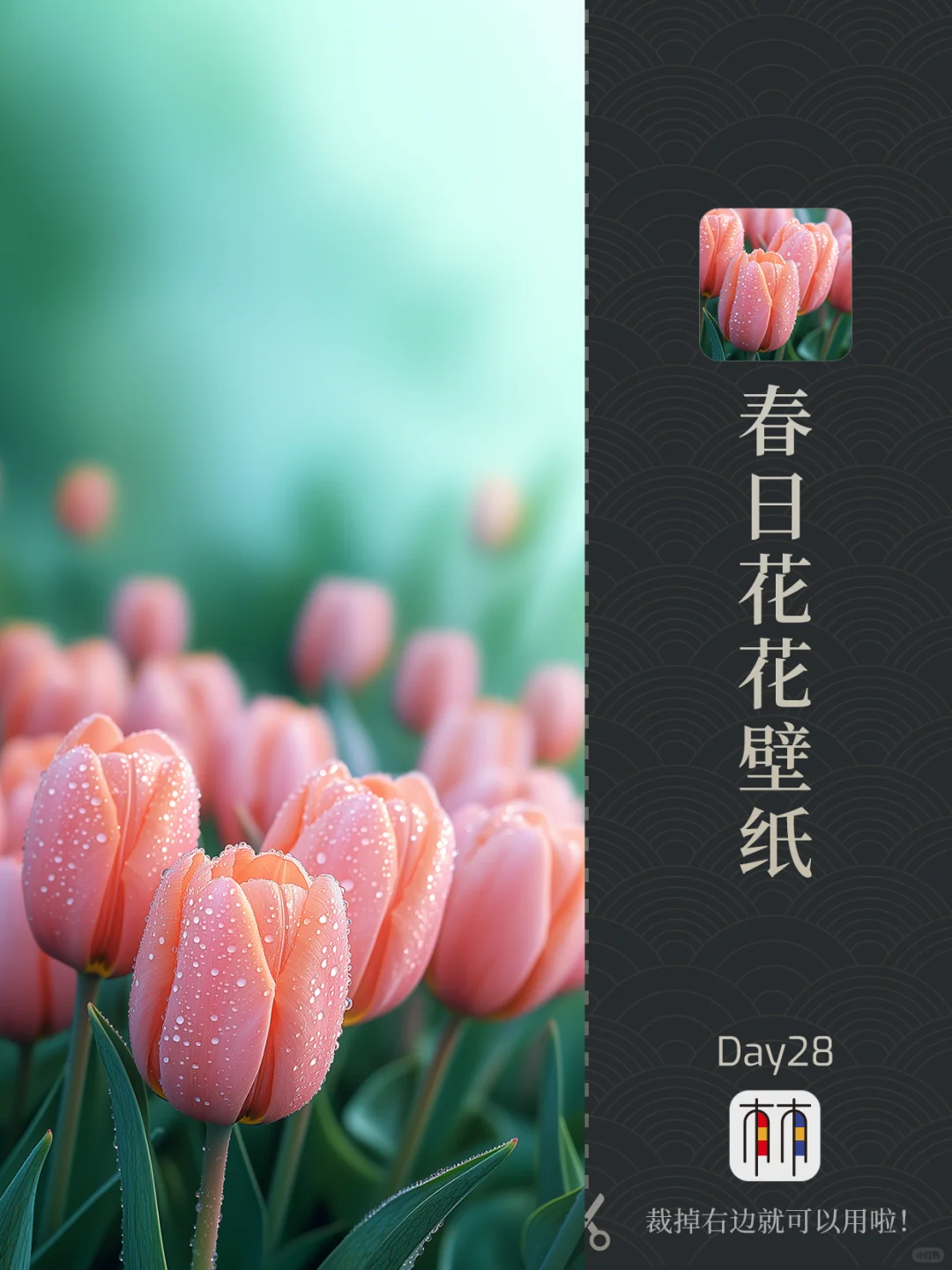 ✨AI壁纸 | 春天怎么能没有花花呢？！🌷