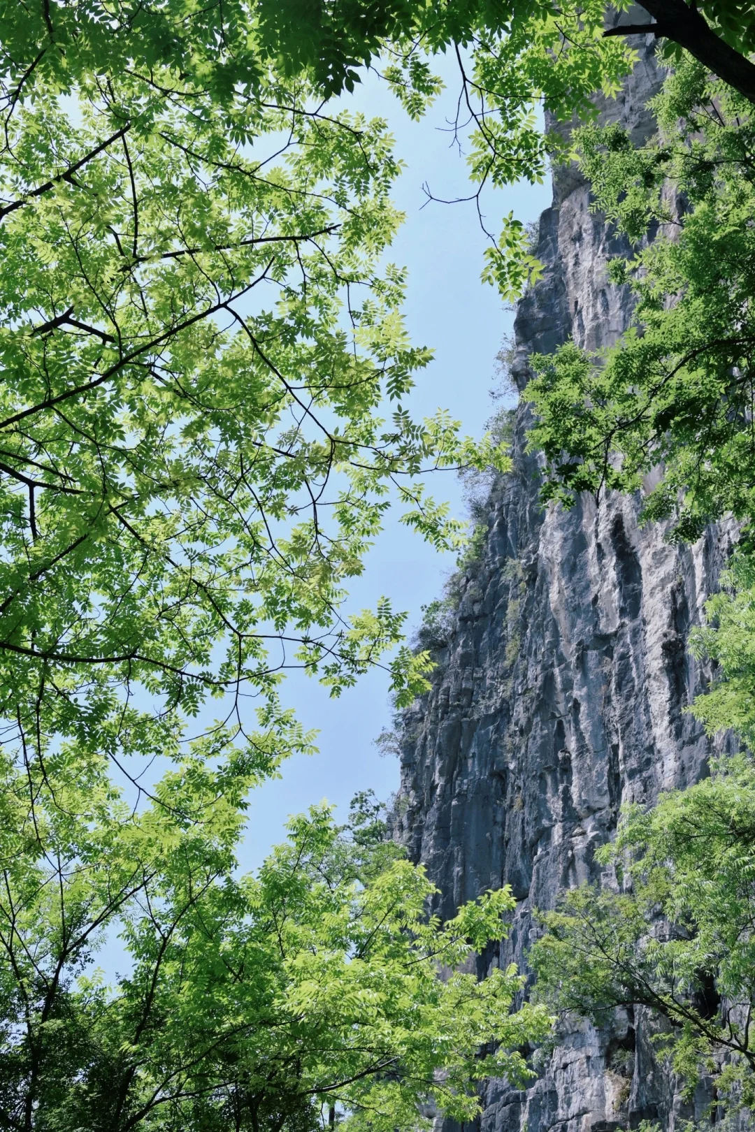 徒步⛰️｜生命，动起来才鲜活
