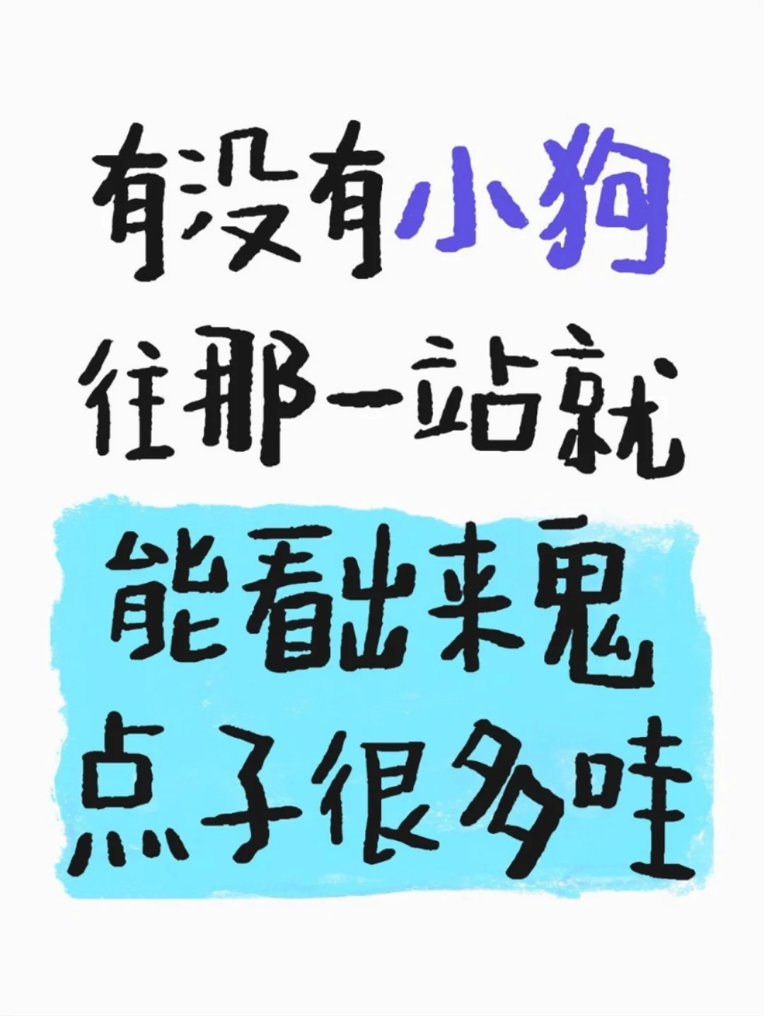 真的有那种一看就很聪明的小狗吗？