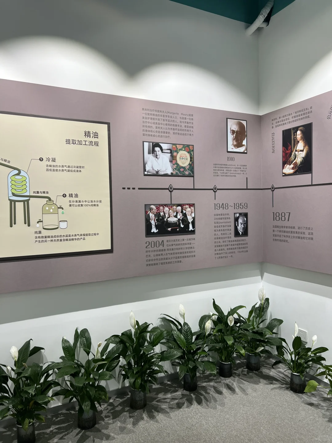 魔都新晋网红打卡点！惠嘉工厂科技疗愈日