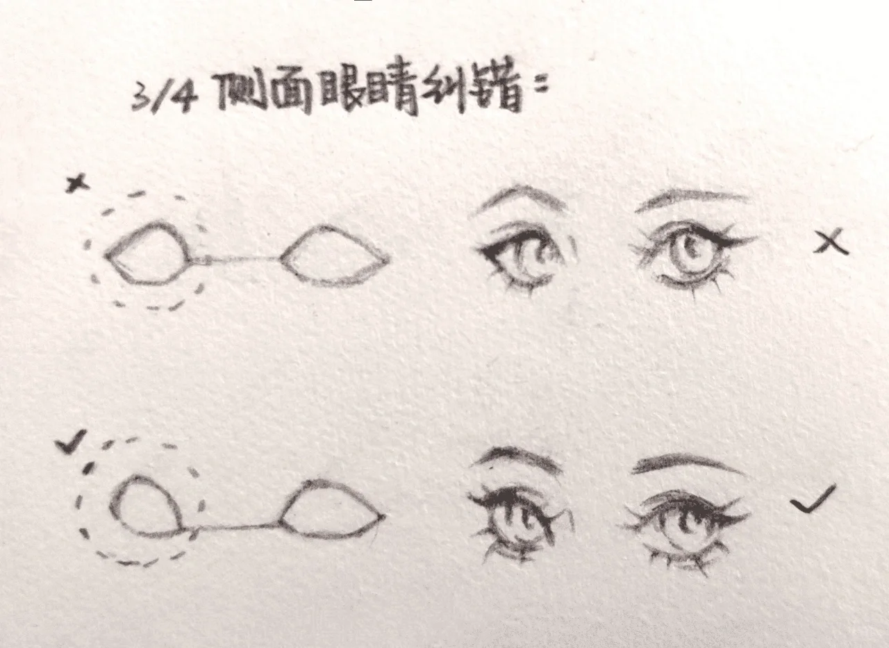 四分之三¾侧面眼睛