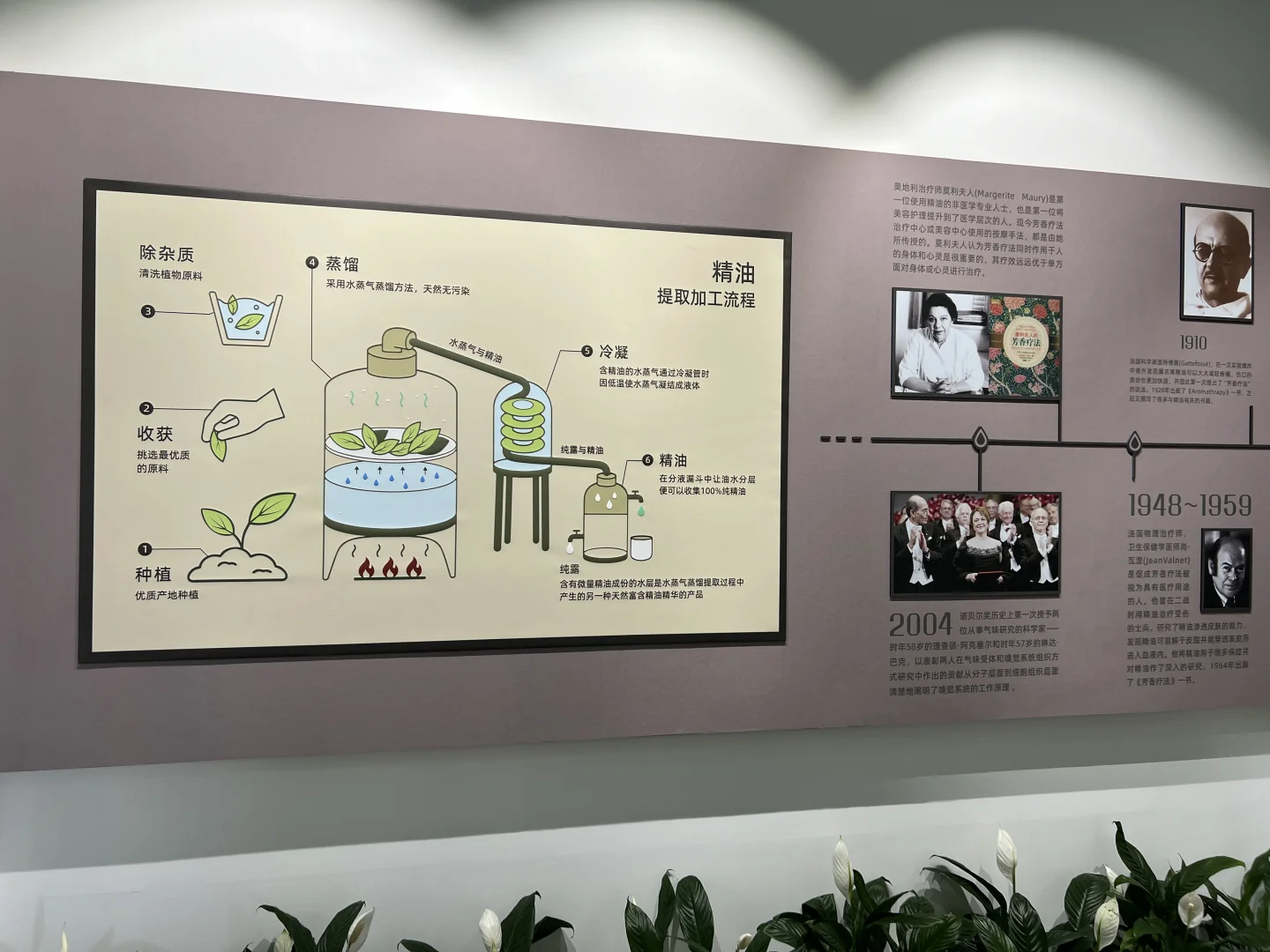 魔都新晋网红打卡点！惠嘉工厂科技疗愈日