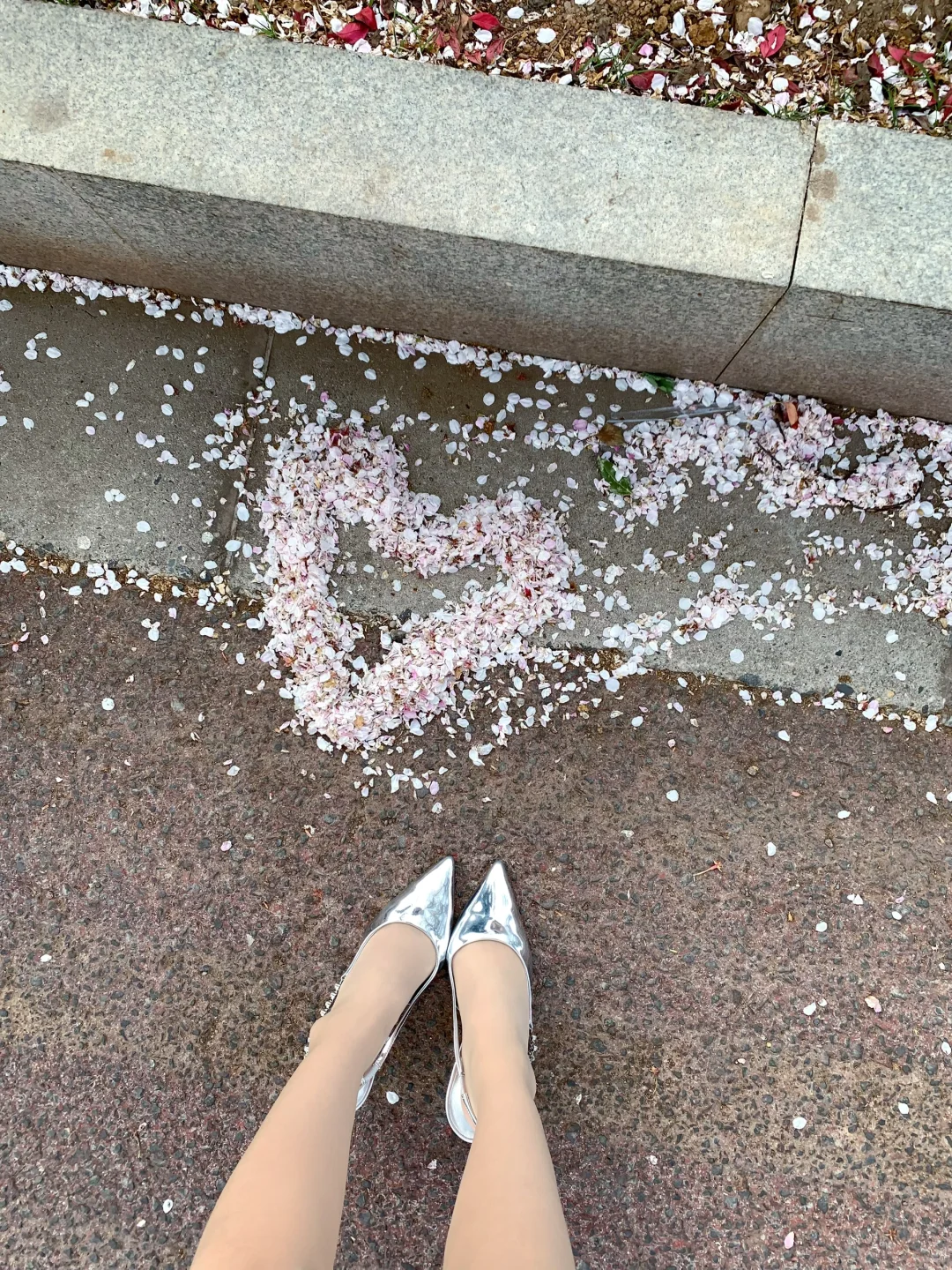 邂逅在午后☀️🥀