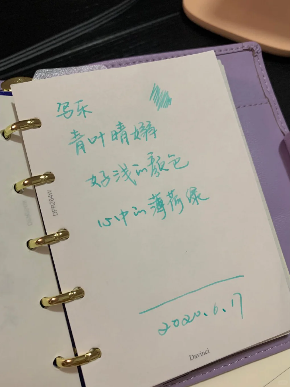 写乐新色，青叶晴嫋，心中的薄荷绿