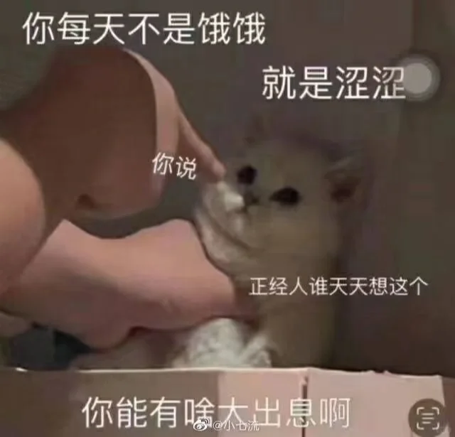 好喜欢这个图哈哈