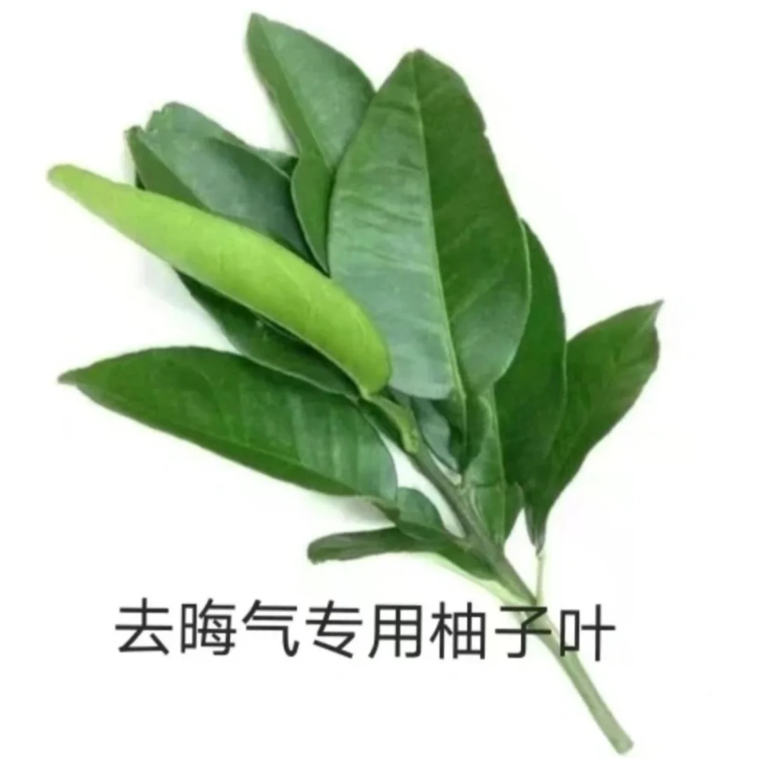 飞韩国的机票太贵了