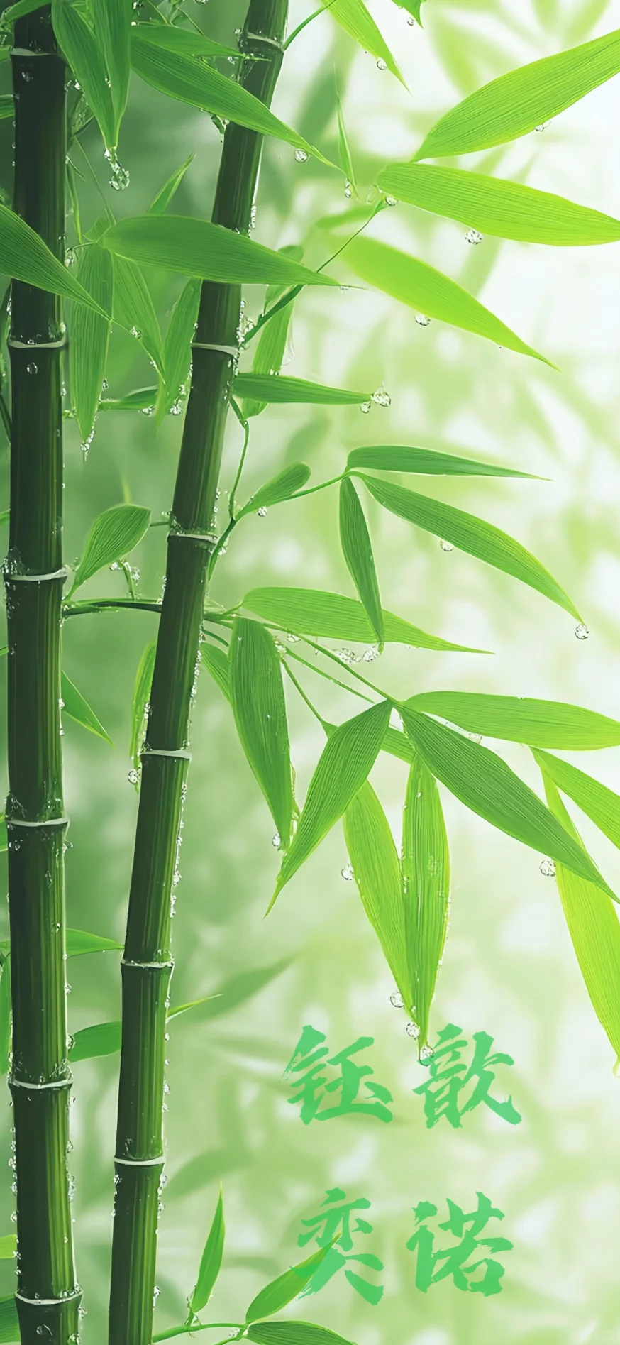 📚5月17日18日考试查成绩能量壁纸（平步青云
