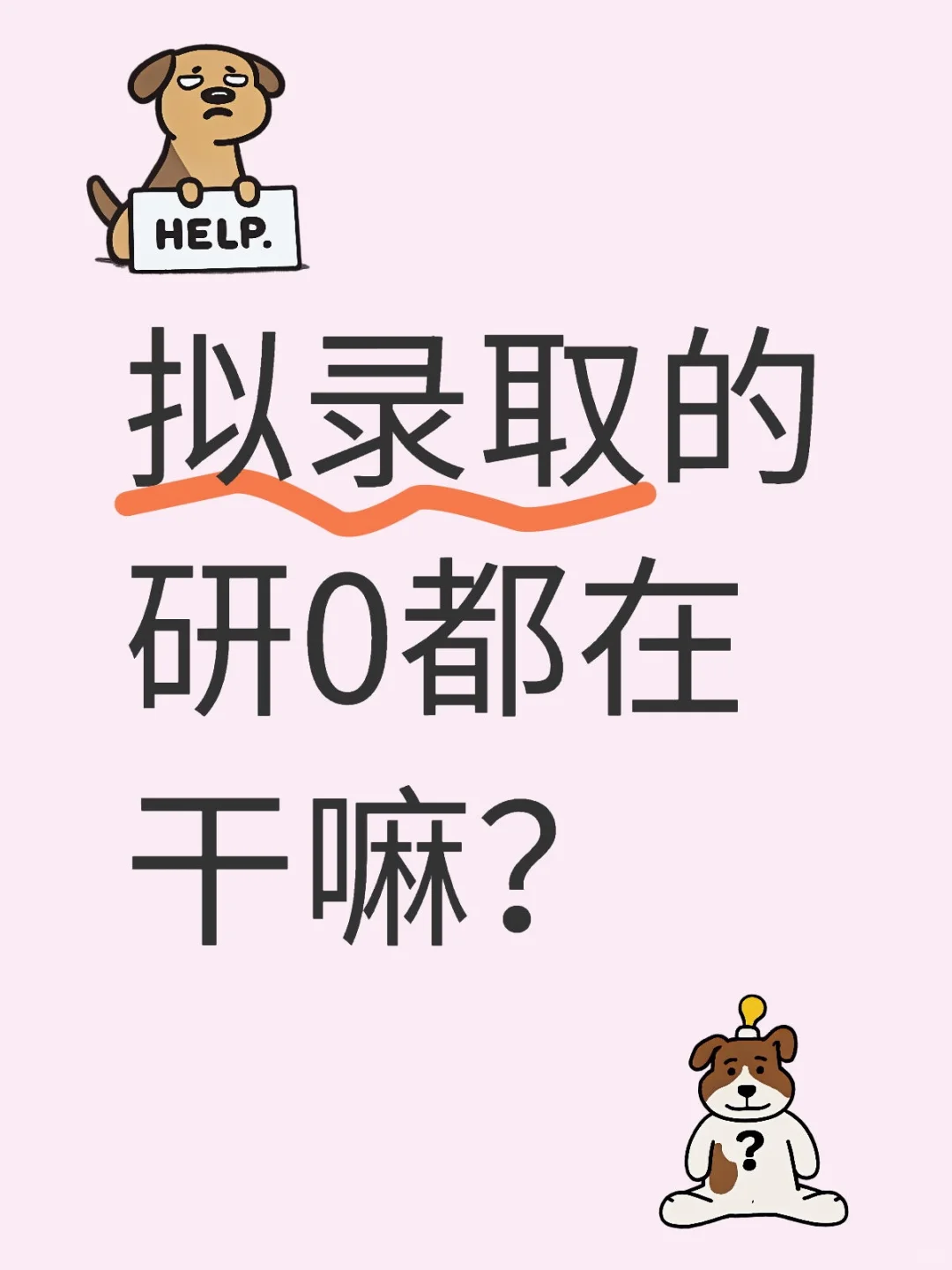 拟录取的研0都在干嘛？