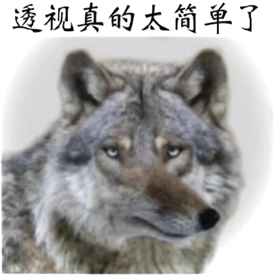 透视真的太简单了……嘎嘎嘎😃