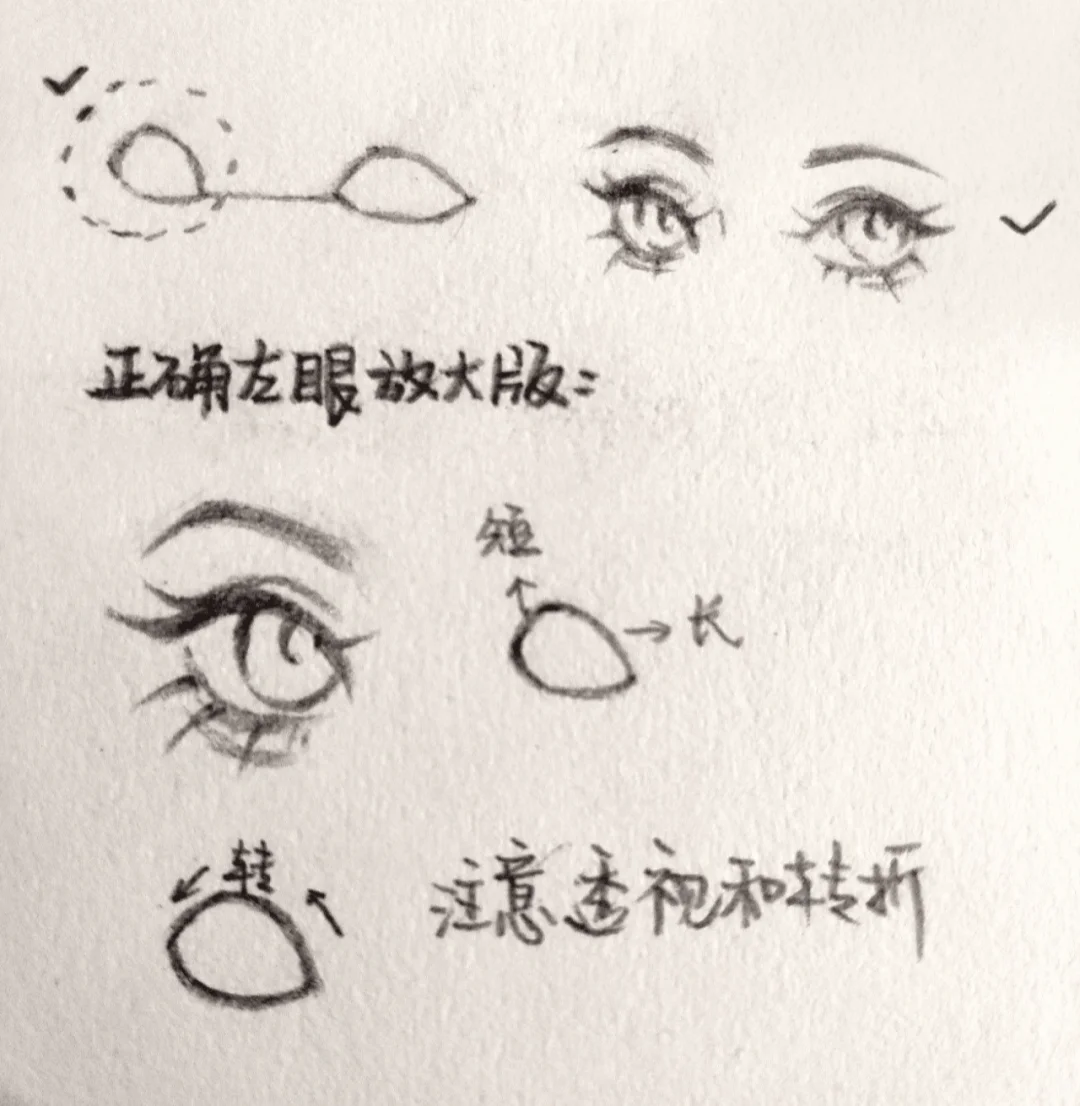 四分之三¾侧面眼睛