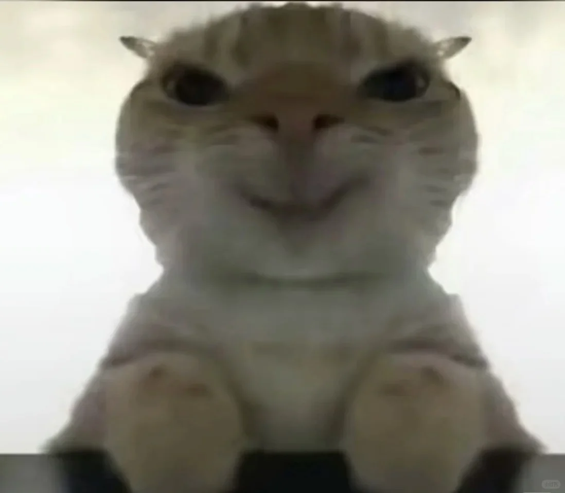 鼠鼠@v@——<.阿米诺斯.>