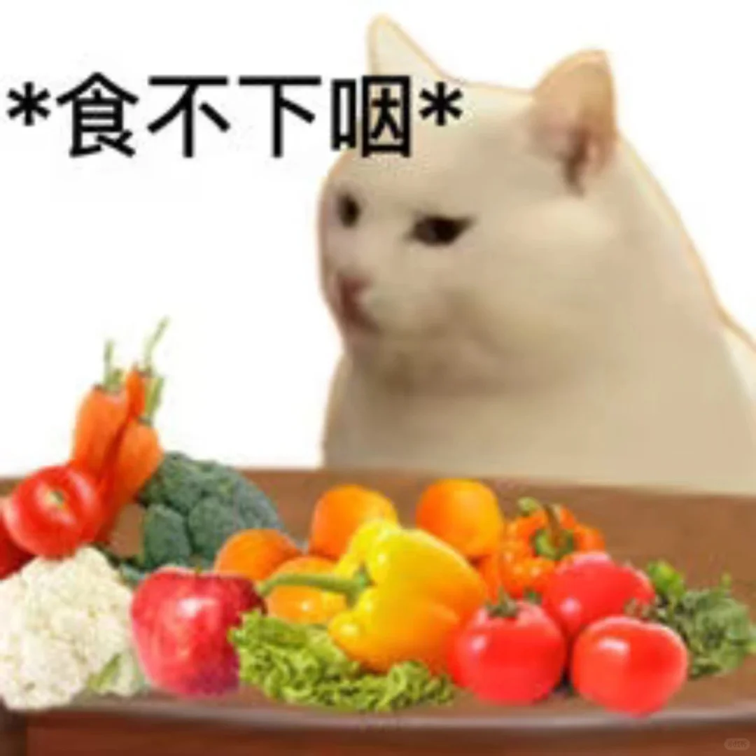 表情包｜纯情大蟑螂