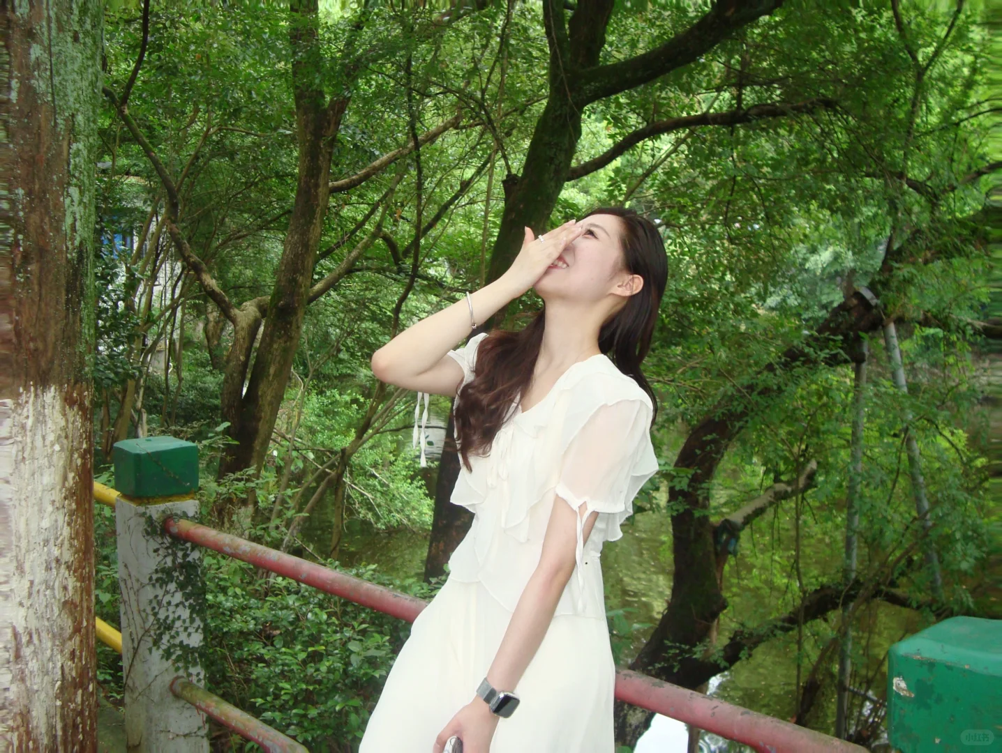 爱上ccd