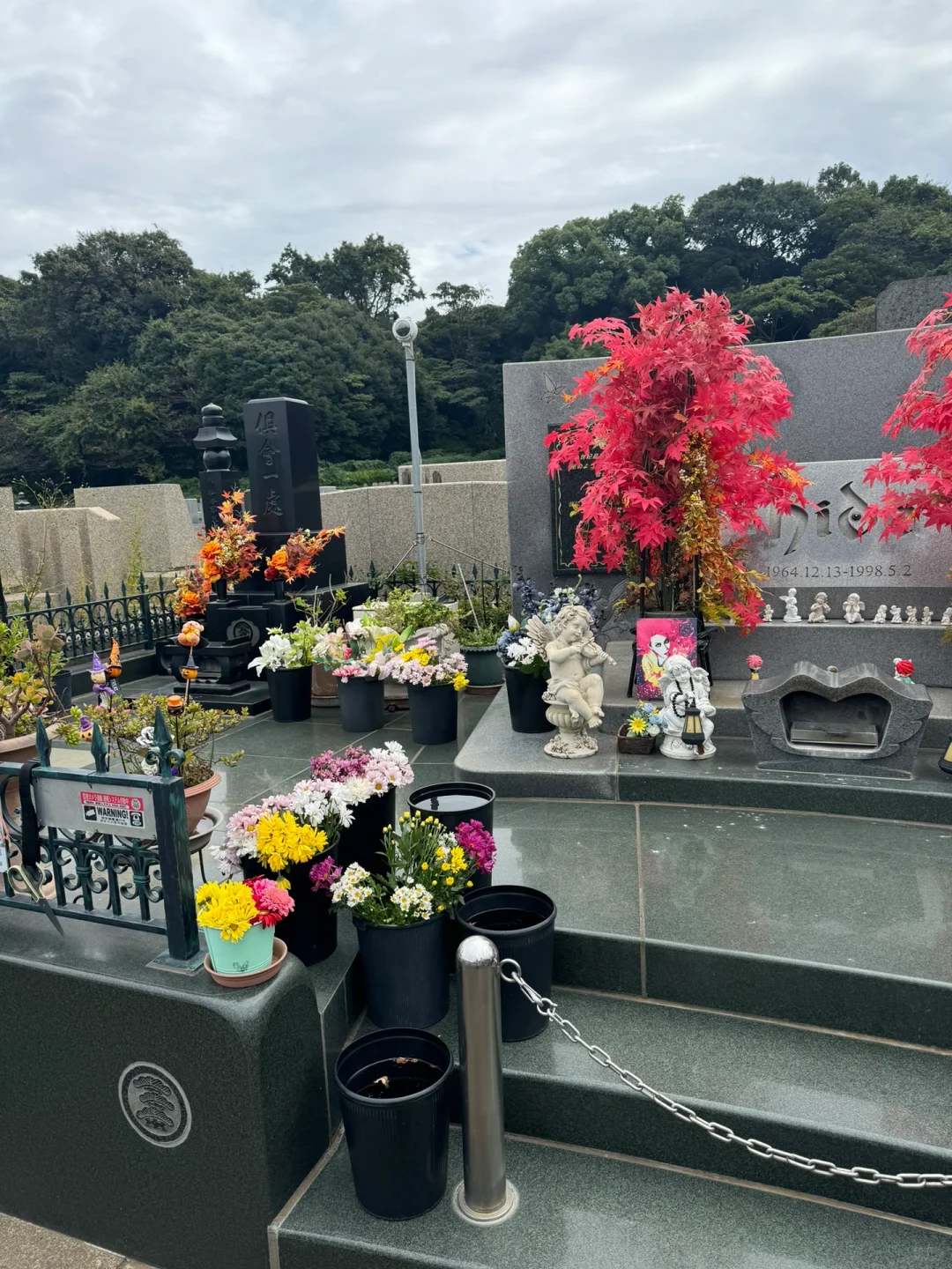 跑横须贺去干什么