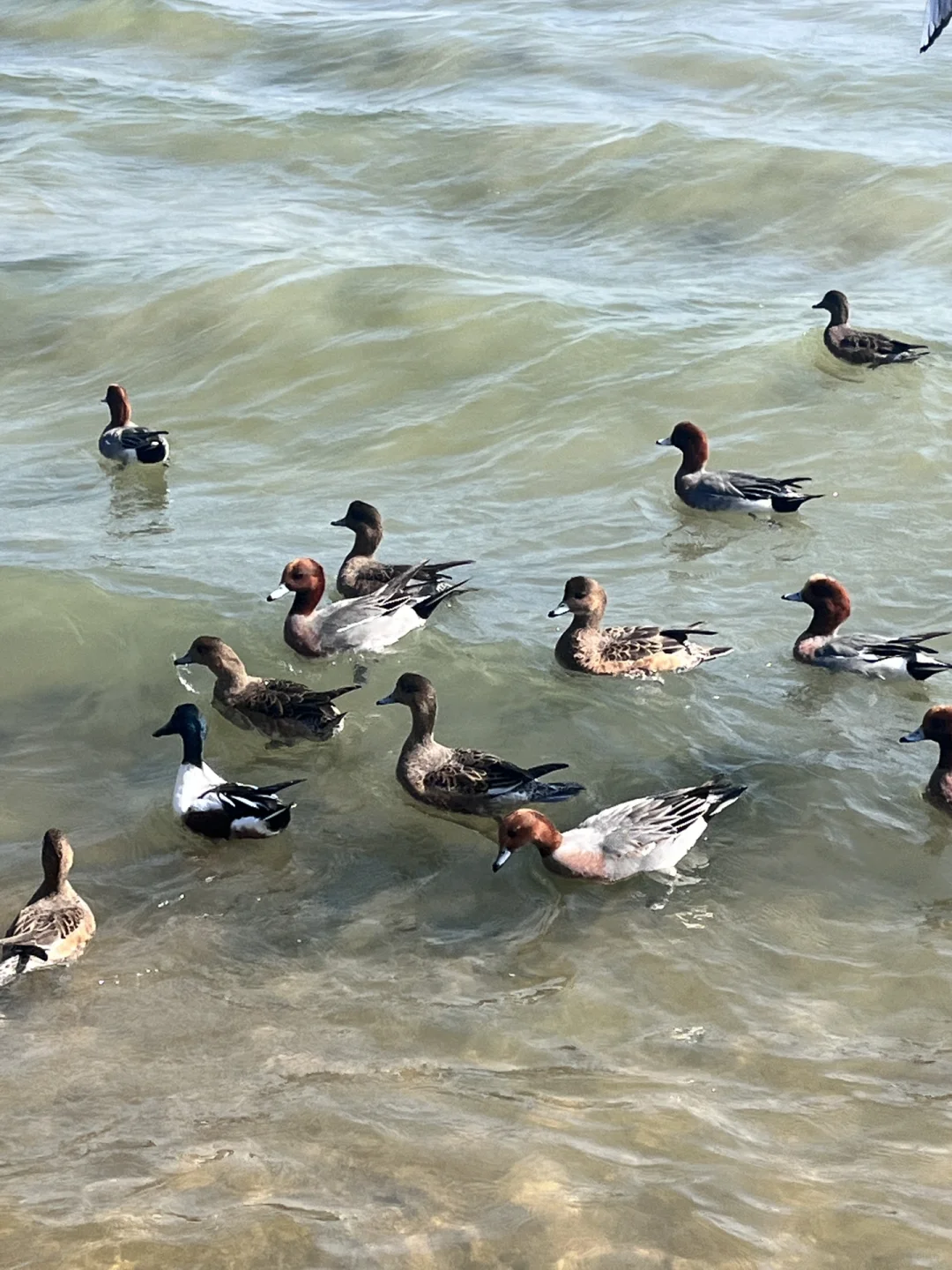 🕊️深圳湾公园｜170 55kg｜Ootd显瘦穿搭