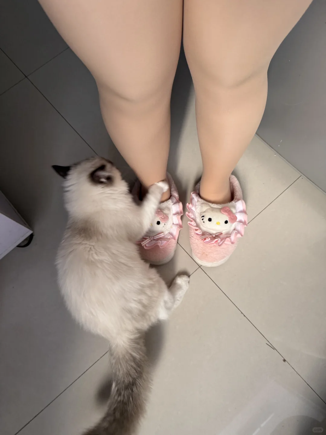 无滤镜真实测评 光腿神器