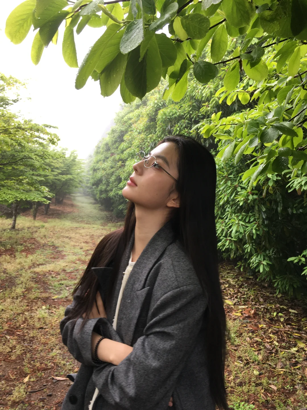 绿 是一种沉默的力量