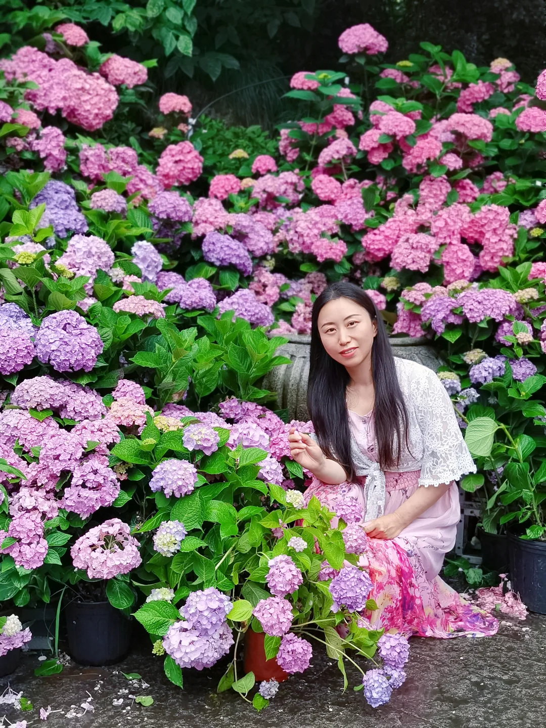 去年的永福寺无尽夏，期待今年的美照😍