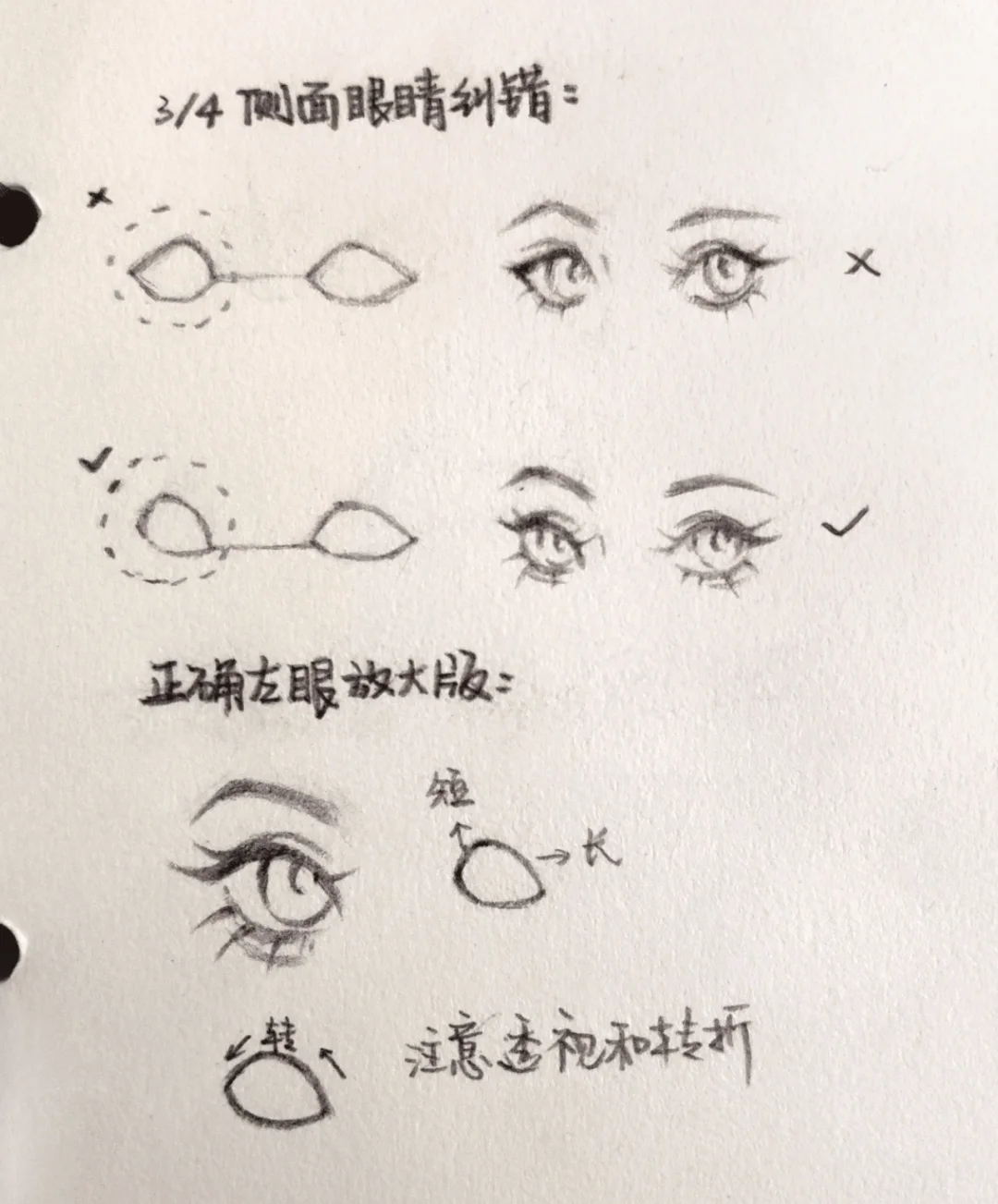 四分之三¾侧面眼睛