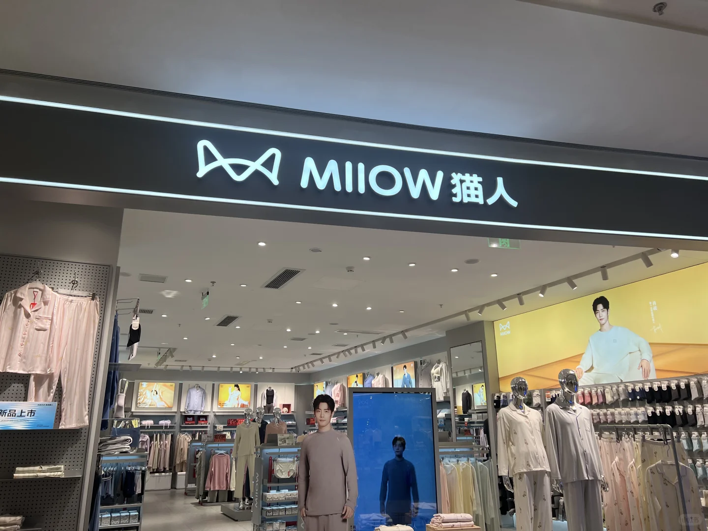铁粉一枚