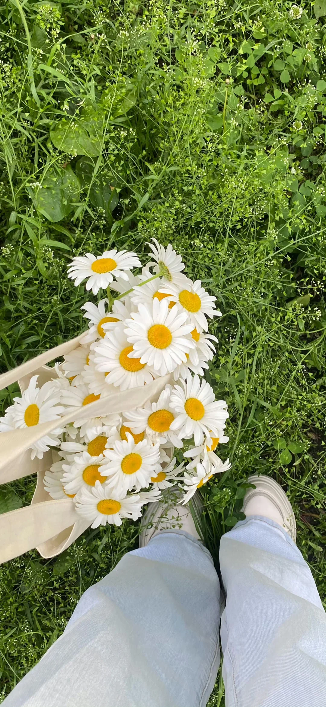 手机壁纸 绿色